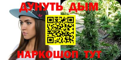 гидра Славянск-на-Кубани