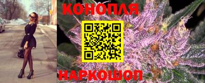 гидра Славянск-на-Кубани