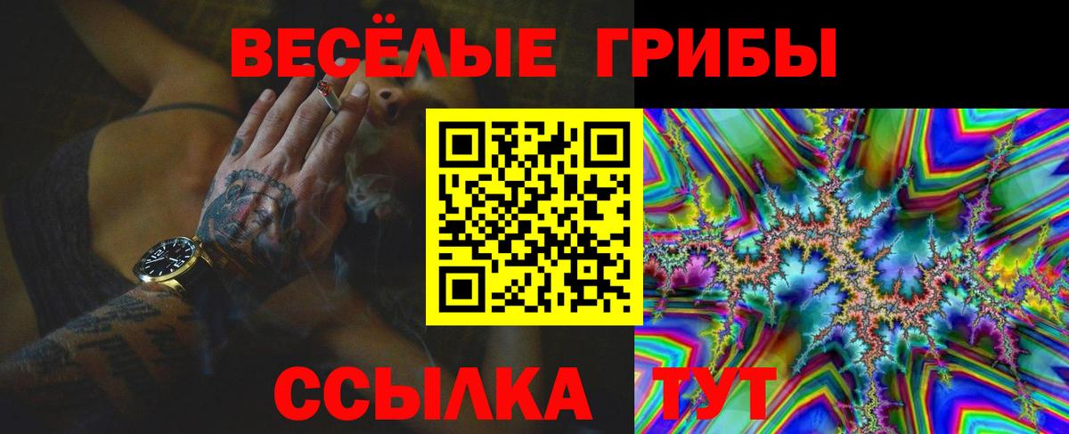 Псилоцибиновые грибы Psilocybine cubensis  что такое   Северск  Вход с VPN 