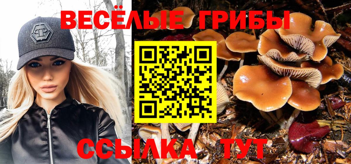 Галлюциногенные грибы прущие грибы Северск