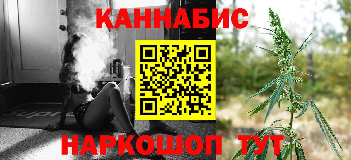 Конопля OG Kush Северск